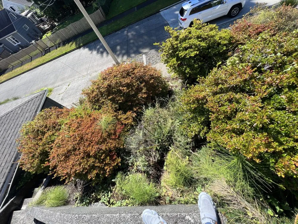 Custom landscaping services experts serving Aberdeen, WA - Gomez landscaping