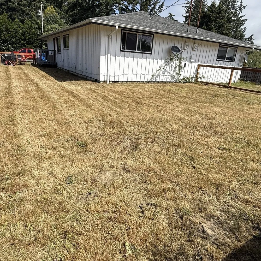 Top-rated landscape design for homes across Aberdeen, WA - Gomez landscaping