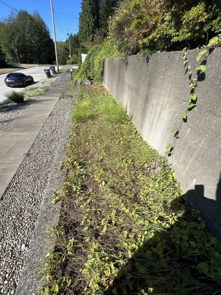 Custom garden landscaping for year-round maintenance in Aberdeen, WA by Gomez landscaping