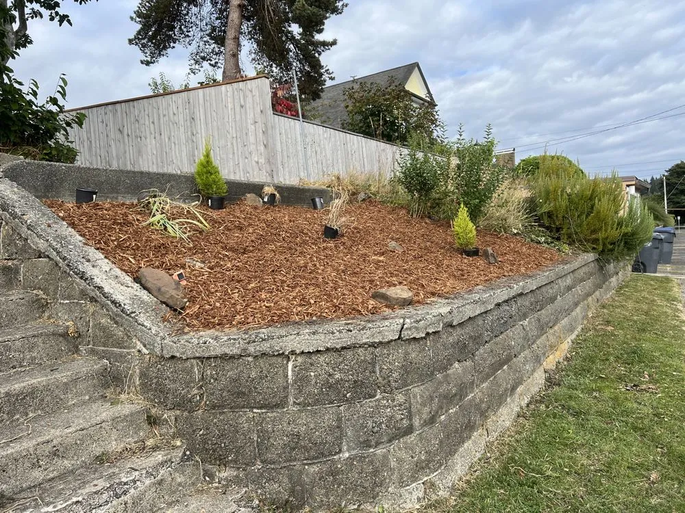 Top-rated yard cleanup service in Aberdeen, WA - Gomez landscaping