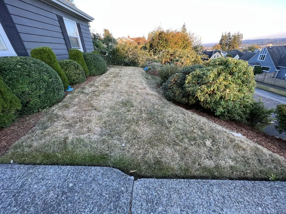 Professional landscaping services for beautiful yards in Aberdeen, WA by Gomez landscaping