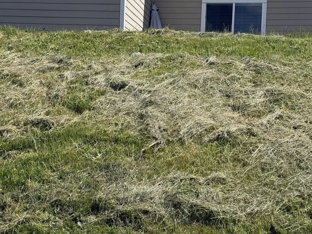 Reliable garden landscaping in Aberdeen, WA - Gomez landscaping