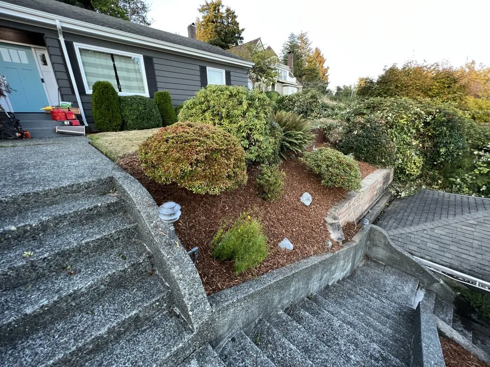 Reliable yard cleanup service in Aberdeen, WA by Gomez landscaping
