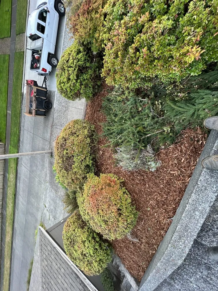 Affordable landscape installation for homes in Aberdeen, WA by Gomez landscaping