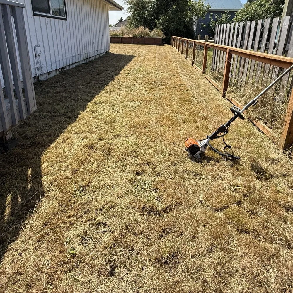 Reliable yard maintenance for beautiful yards across Aberdeen, WA - Gomez landscaping