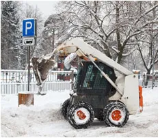 Affordable yard cleanup service in Lynn, MA - Gomez Landscaping and Construction