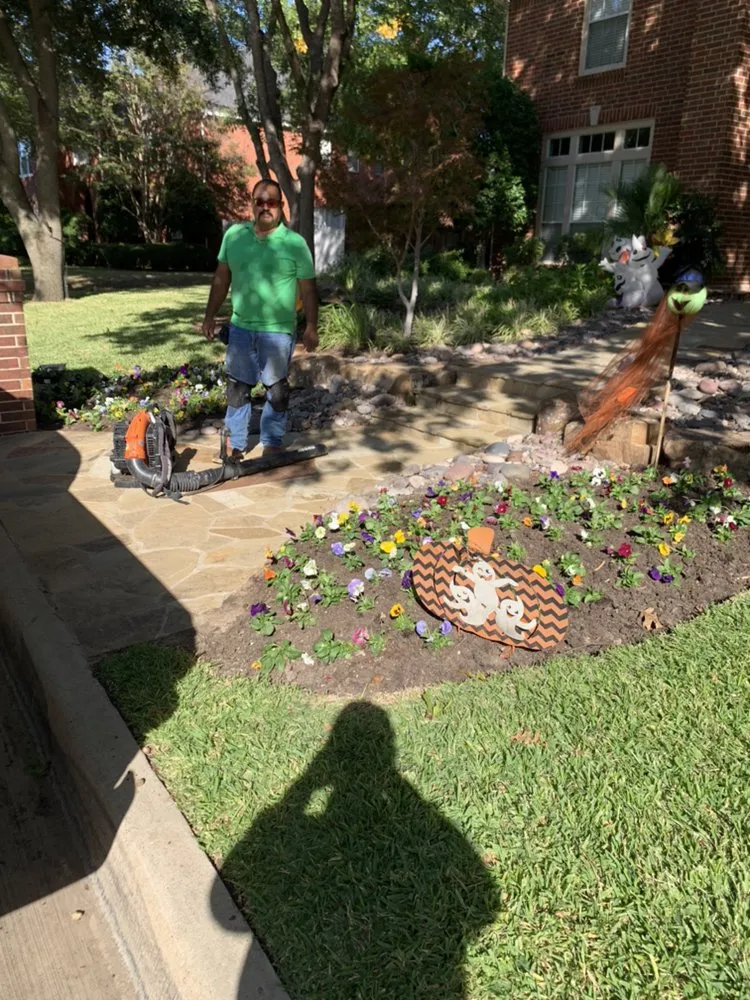 Trusted yard maintenance for homes across Fort Worth, TX - Gomez Landscaping