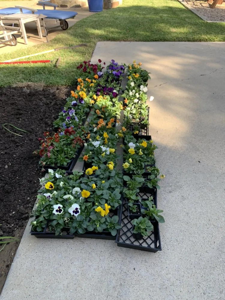 Trusted yard cleanup service for year-round maintenance in Fort Worth, TX by Gomez Landscaping