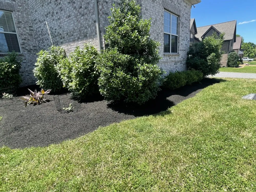 Professional landscaping services for beautiful yards in Gallatin, TN by Gomez Landscaping