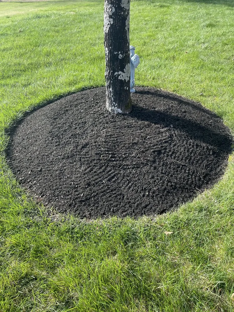 Professional landscaping services with custom design across Gallatin, TN - Gomez Landscaping