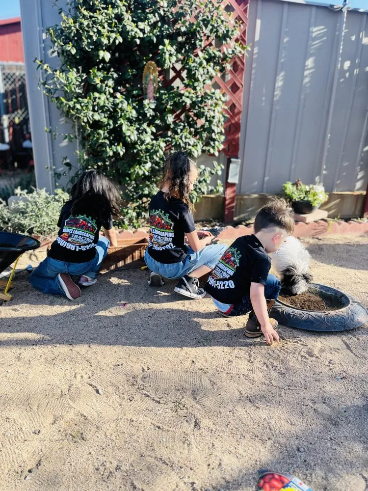 Professional landscaping services in Hesperia, CA - Gomez Landscaping