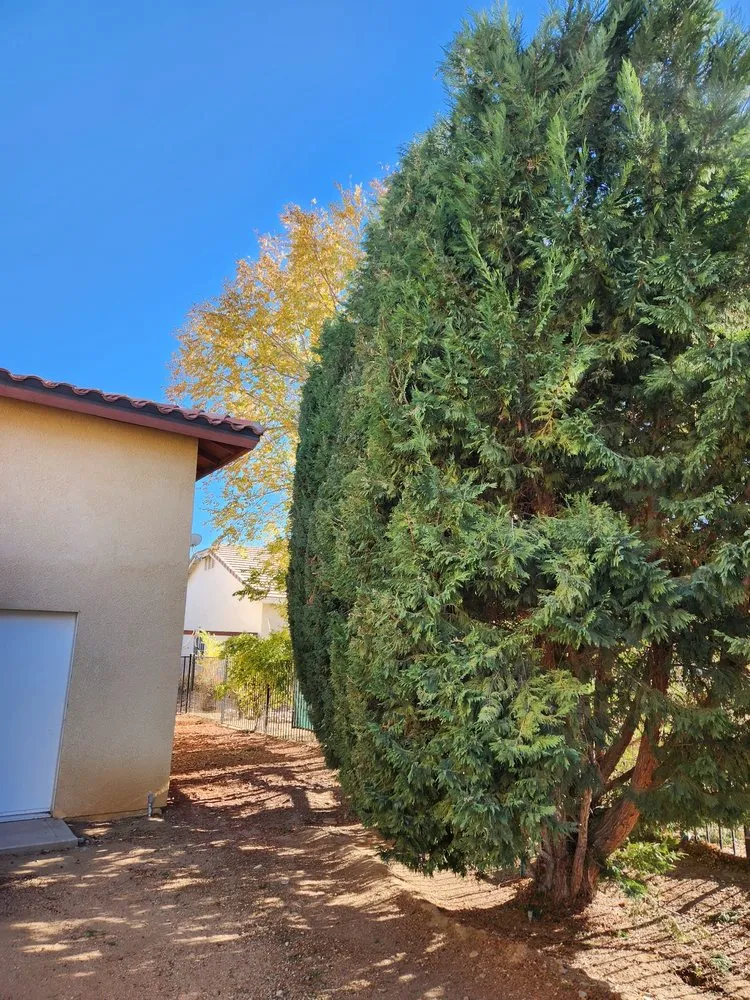 Local landscape installation for outdoor upgrades across Hesperia, CA - Gomez Landscaping