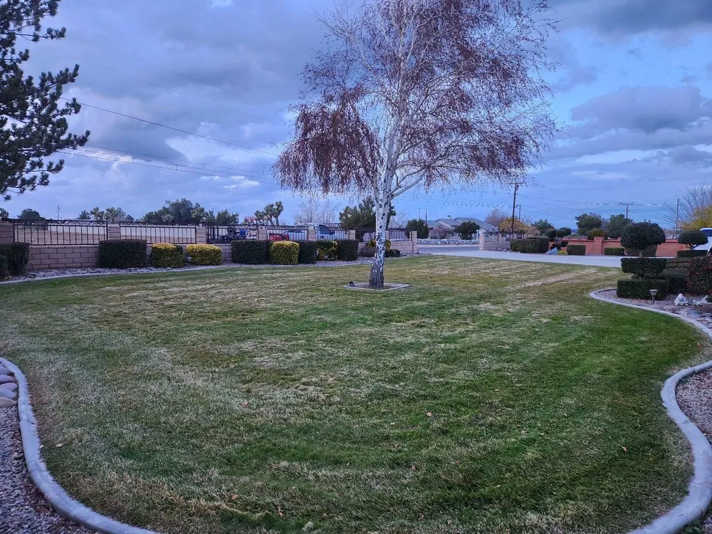Custom landscape installation in Hesperia, CA - Gomez Landscaping
