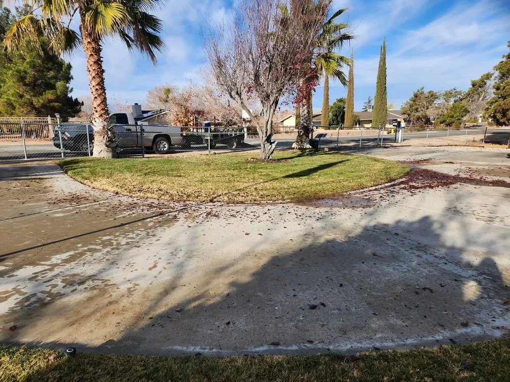 Reliable yard maintenance experts serving Hesperia, CA - Gomez Landscaping