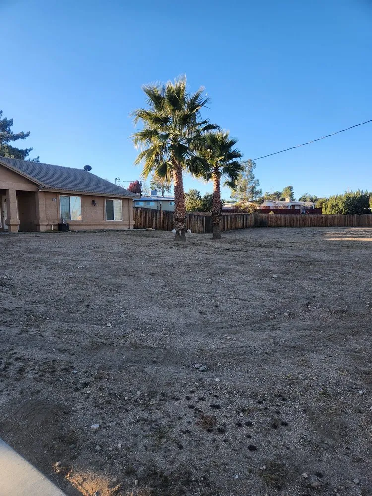 Expert lawn care service for year-round maintenance in Hesperia, CA by Gomez Landscaping