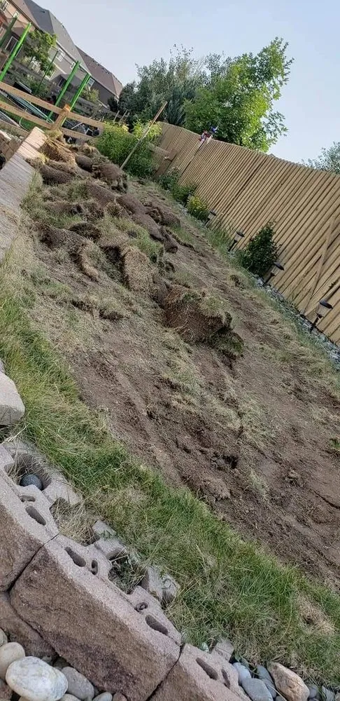 Trusted yard cleanup service for homes across Lakewood, CO - Gomez Landscaping