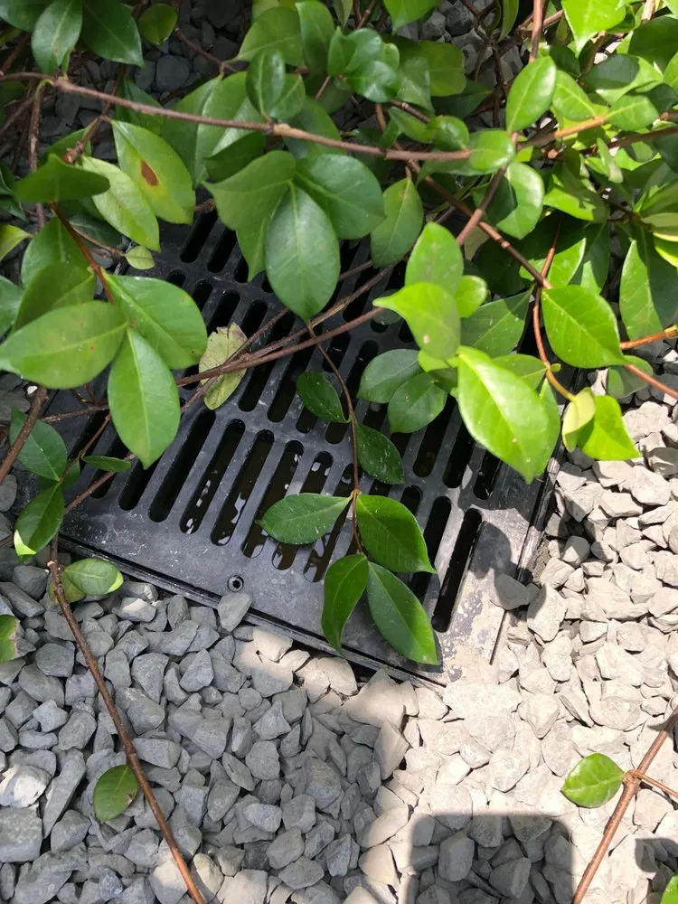 Custom landscaping services in Manor, TX - Gomez Landscaping