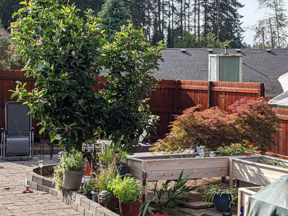 Top-rated garden landscaping with custom design across Manor, TX - Gomez Landscaping