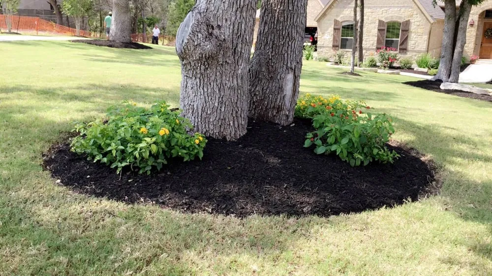 Local landscape installation in Manor, TX - Gomez Landscaping