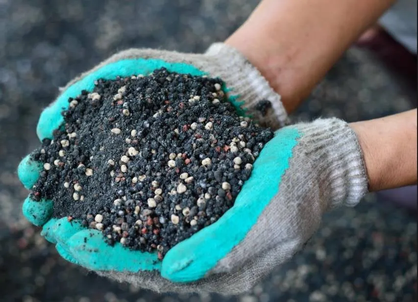 Reliable landscape design with custom design across Manor, TX - Gomez Landscaping