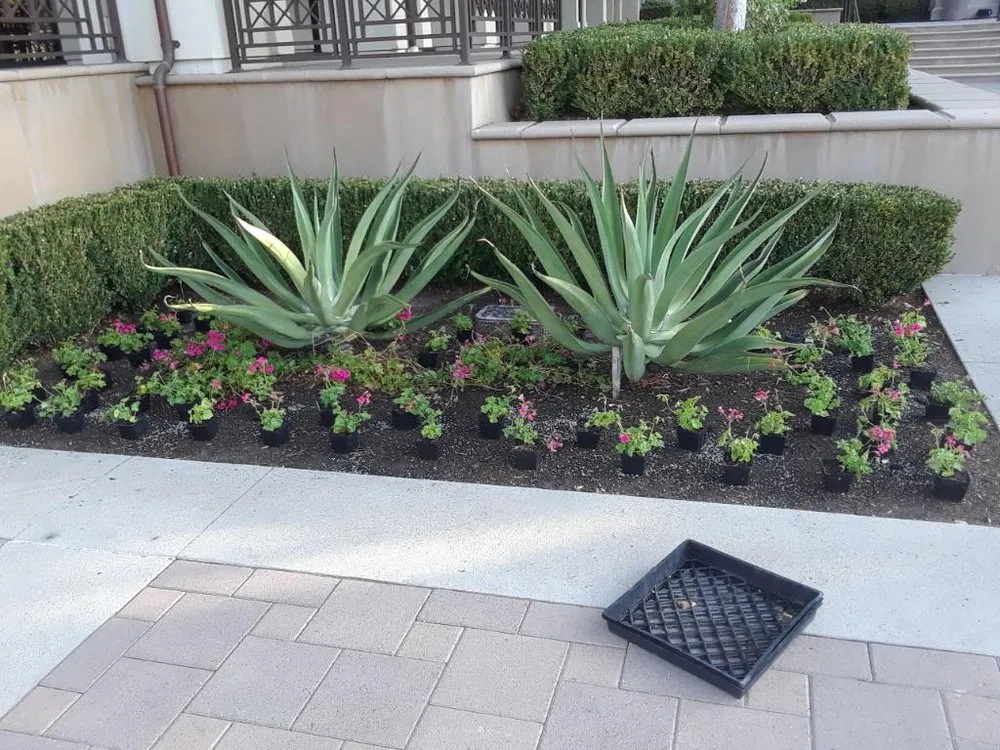 Expert outdoor landscaping near you across Menifee, CA - Gomez Landscaping