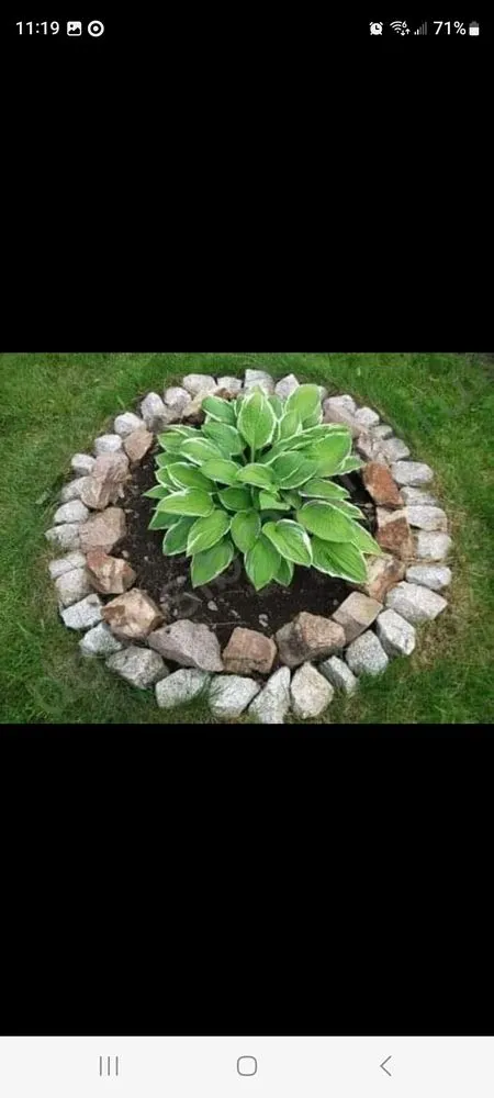 Reliable yard maintenance for beautiful yards across Meridianville, AL - Gomez Landscaping