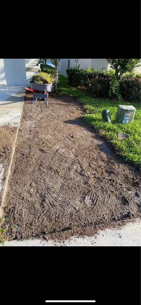 Top-rated residential landscaping for beautiful yards across DeLand, FL - Gomez Landscaping Multiservice