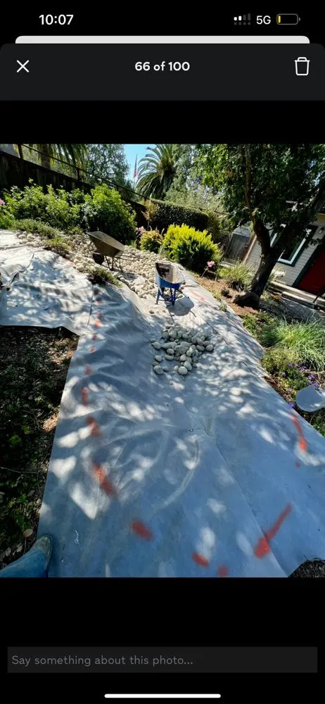 Professional yard cleanup service for year-round maintenance in Napa, CA by Gomez Landscaping