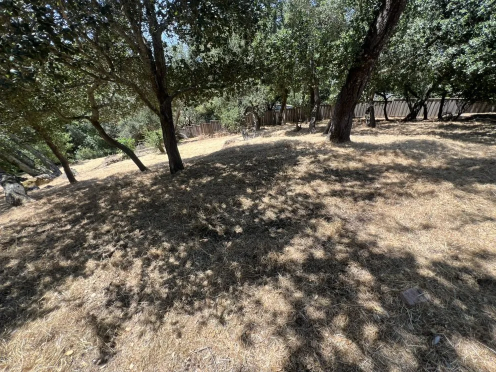 Expert yard cleanup service for homes in Napa, CA by Gomez Landscaping