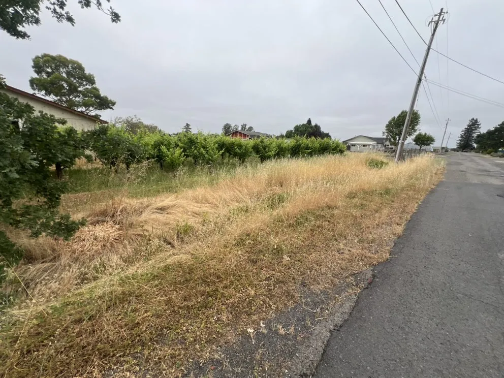 Custom garden landscaping for residential properties across Napa, CA - Gomez Landscaping