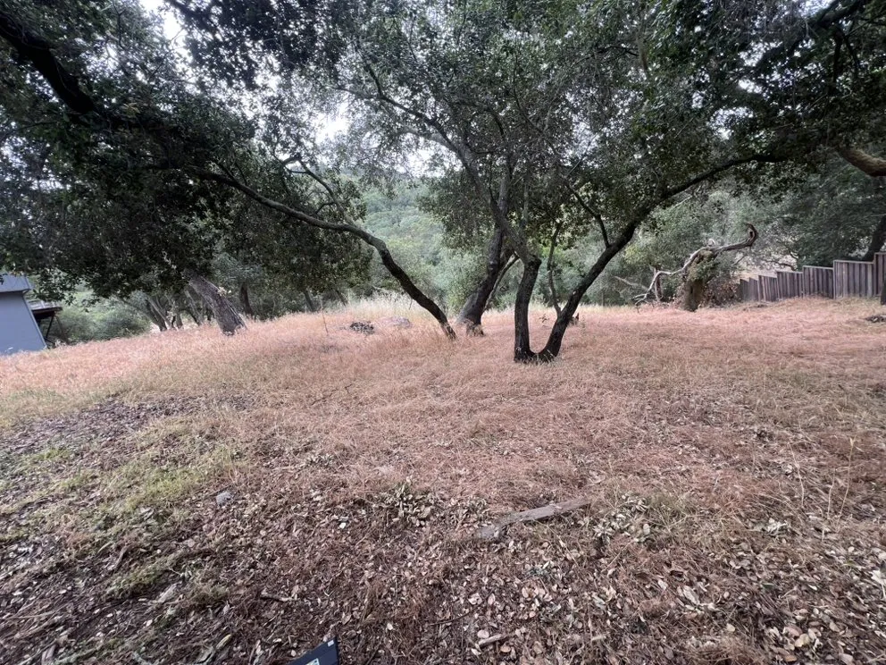 Expert residential landscaping in Napa, CA by Gomez Landscaping