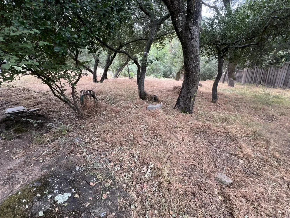 Custom garden landscaping for beautiful yards in Napa, CA by Gomez Landscaping