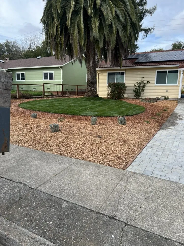 Local landscape design in Napa, CA by Gomez Landscaping