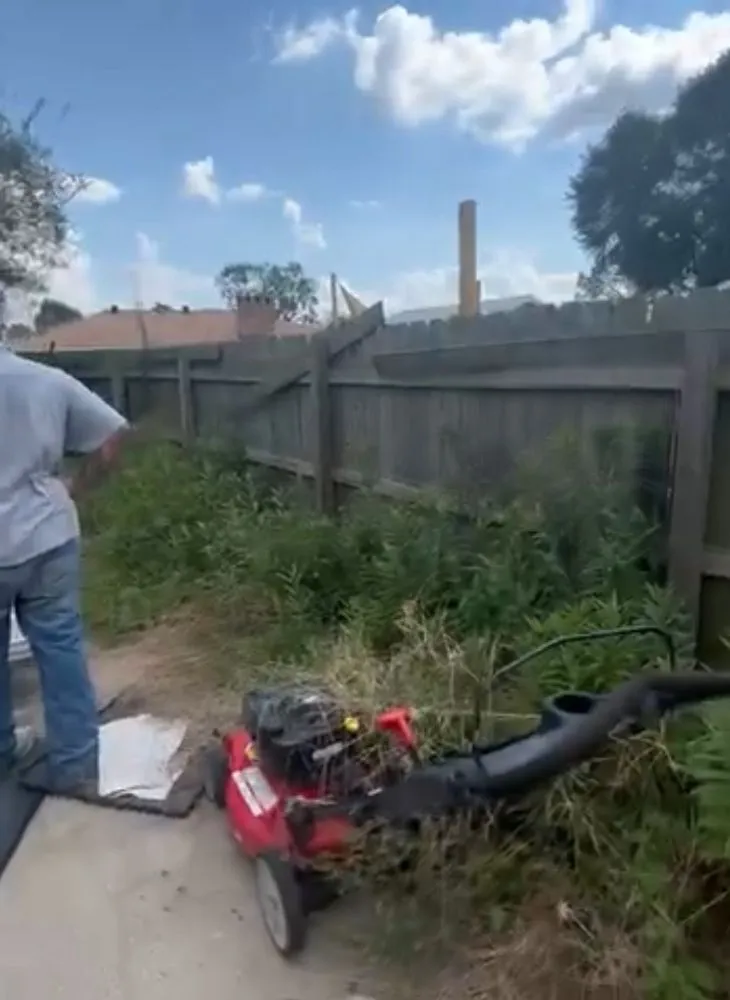 Affordable garden landscaping for year-round maintenance in Nederland, TX by Gomez Landscaping