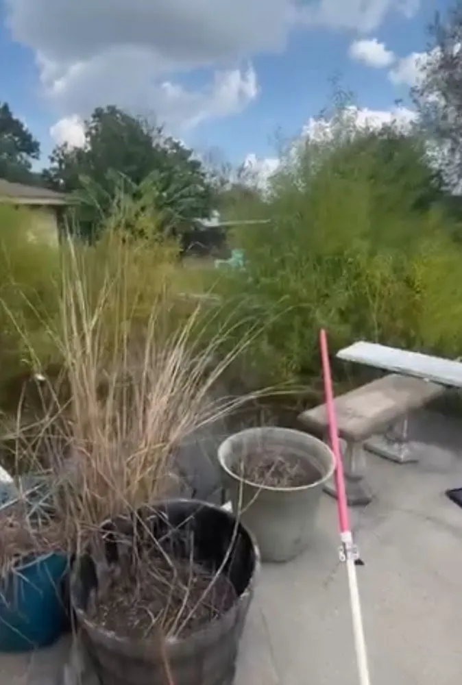 Trusted outdoor landscaping for residential properties across Nederland, TX - Gomez Landscaping