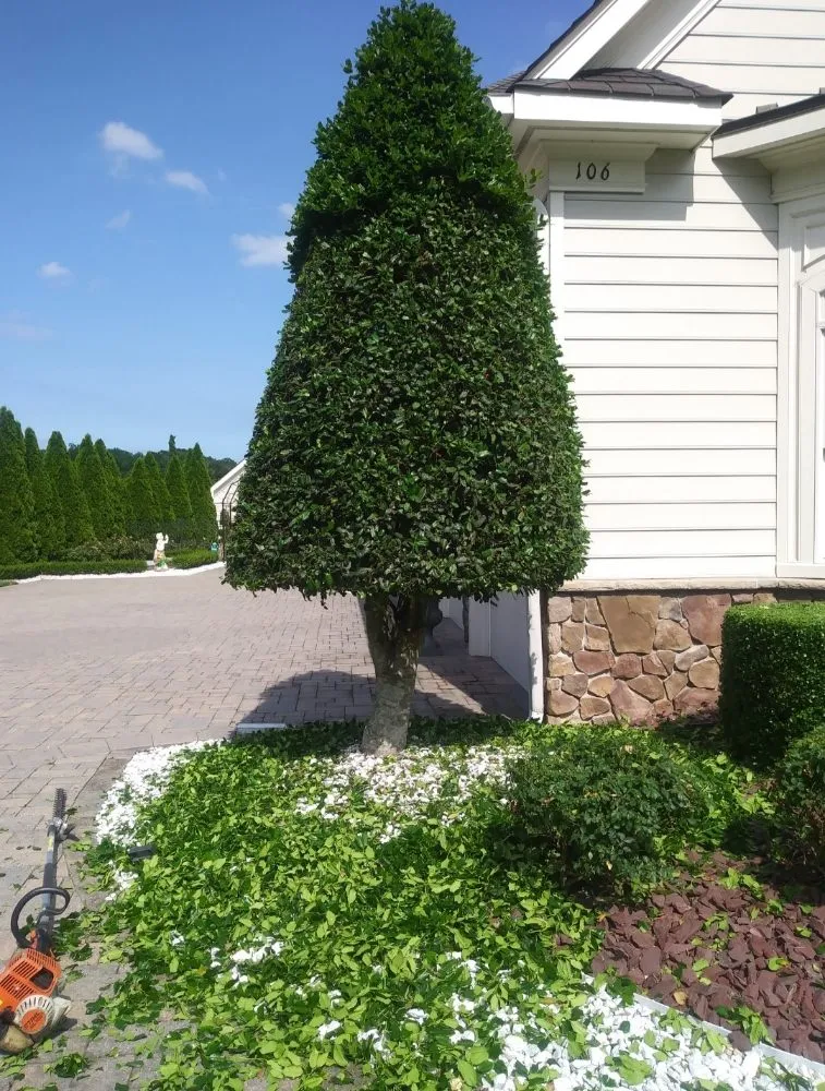 Reliable yard maintenance for year-round maintenance across Newport News, VA - Gomez Landscaping