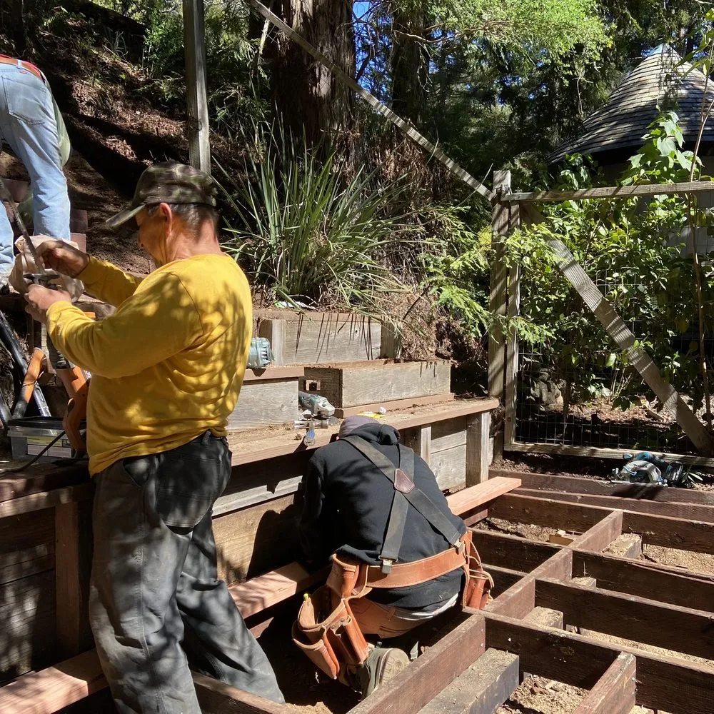 Top-rated lawn care service in San Rafael, CA - Gomez Landscaping