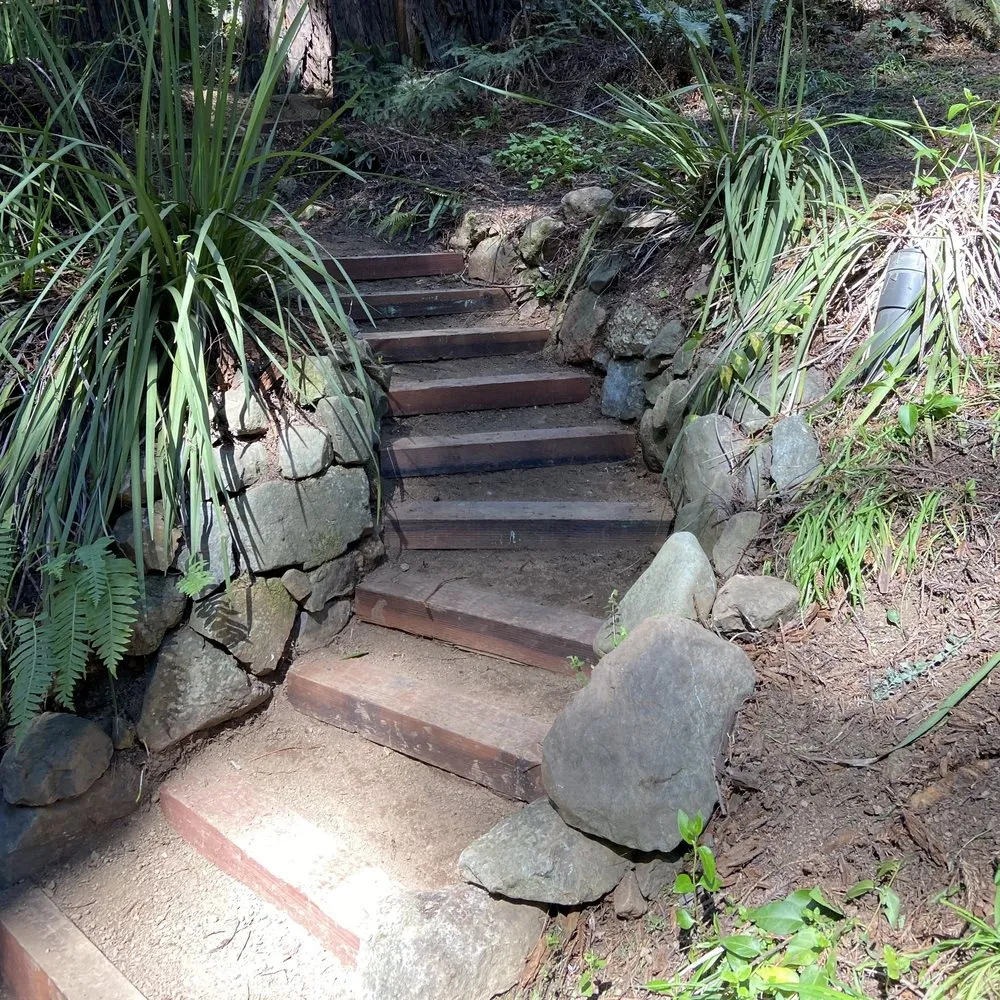 Top-rated yard cleanup service experts serving San Rafael, CA - Gomez Landscaping