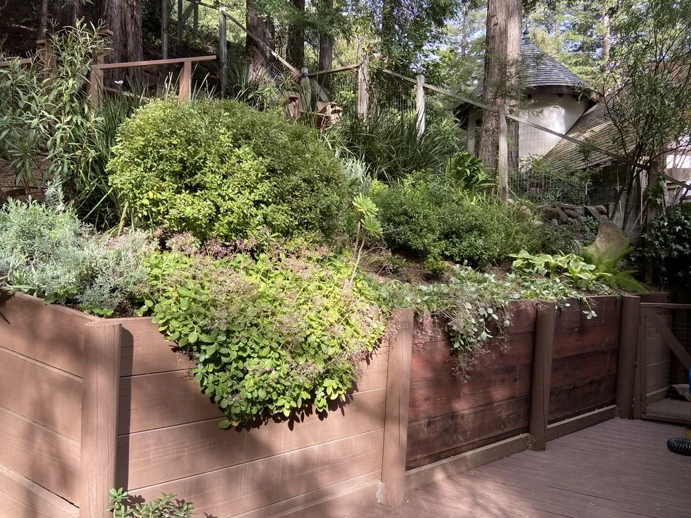 Top-rated yard maintenance experts serving San Rafael, CA - Gomez Landscaping