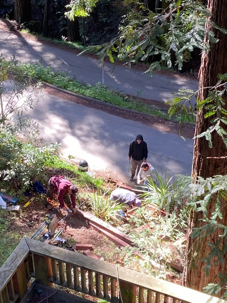 Top-rated yard maintenance for residential properties in San Rafael, CA by Gomez Landscaping