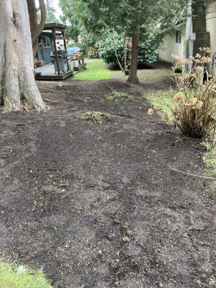 Local yard cleanup service for year-round maintenance across Shelton, WA - Gomez Landscaping