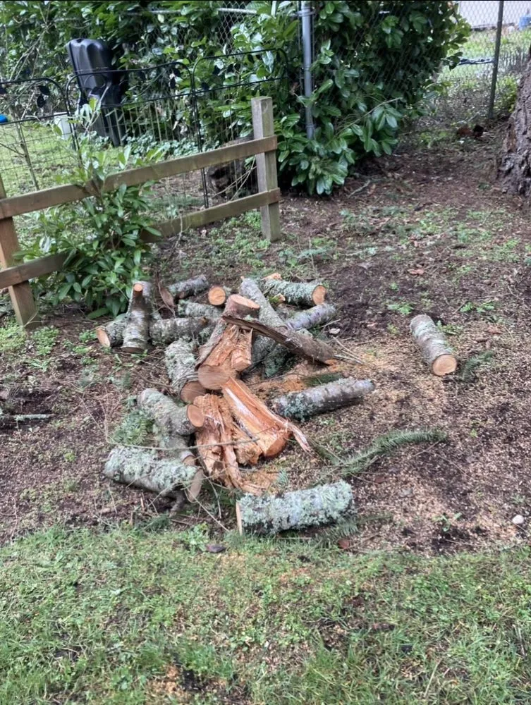 Reliable lawn care service in Shelton, WA by Gomez Landscaping