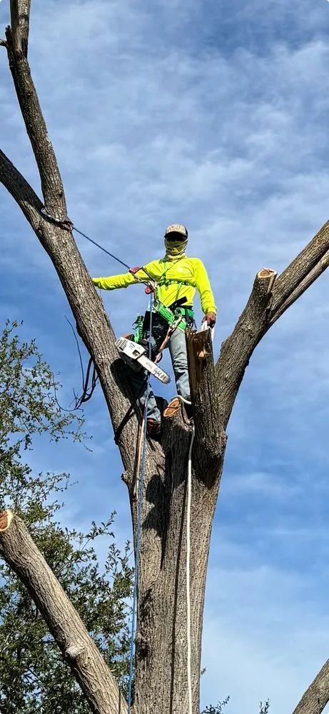 Professional lawn mowing service for year-round maintenance in Taylor, TX by Gomez Landscaping
