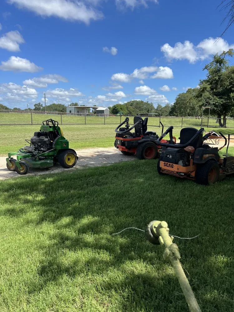 Top-rated landscape design in Taylor, TX by Gomez Landscaping