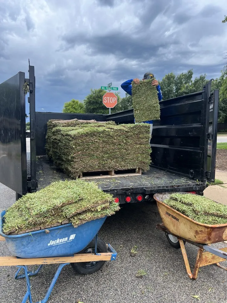 Affordable lawn care service in Taylor, TX by Gomez Landscaping