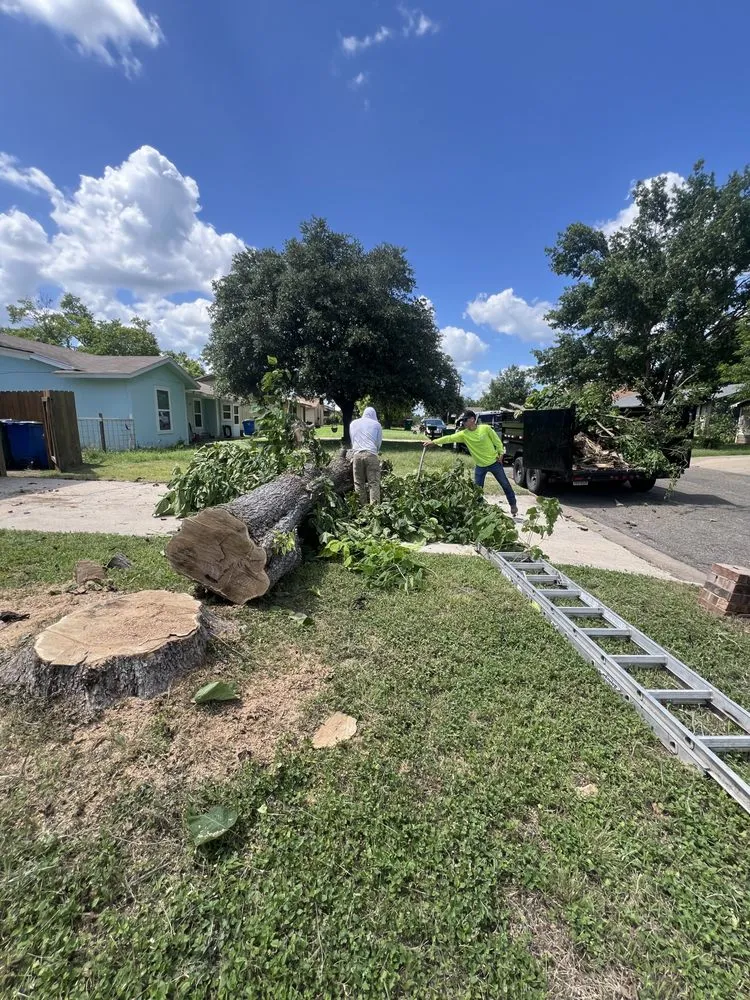 Reliable landscape design with custom design across Taylor, TX - Gomez Landscaping