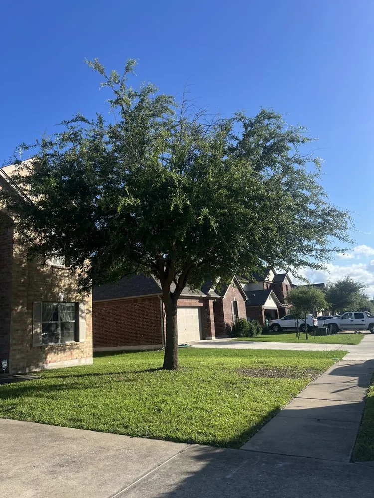 Professional landscape design for residential properties across Taylor, TX - Gomez Landscaping