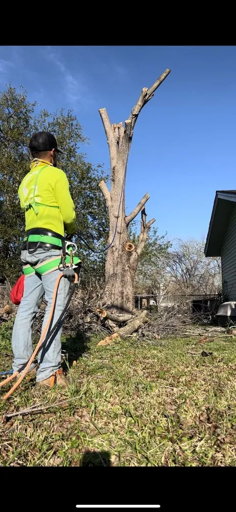 Expert landscaping services for homes across Taylor, TX - Gomez Landscaping