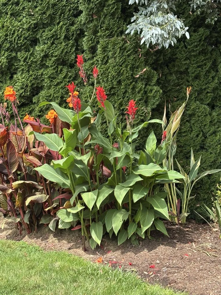 Local outdoor landscaping for year-round maintenance in Vancouver, WA by Gomez Landscaping