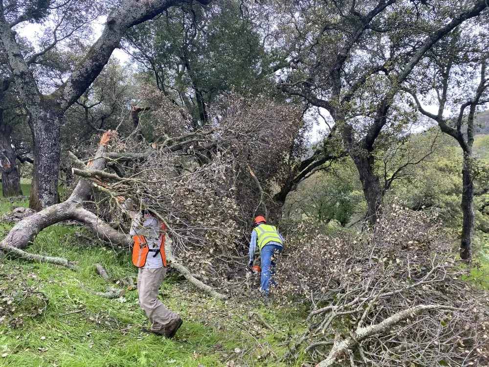 Expert outdoor landscaping in Vineburg, CA - Gomez Landscaping